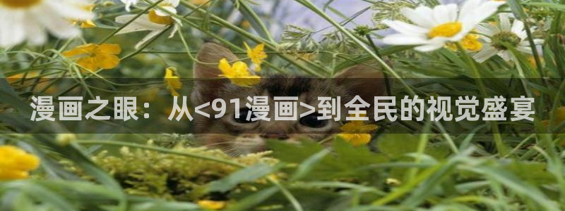天堂漫画安装包：漫画之眼：从<91漫画>到全民的视觉盛宴