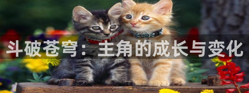 jmcomic天堂漫画：斗破苍穹：主角的成长与变化